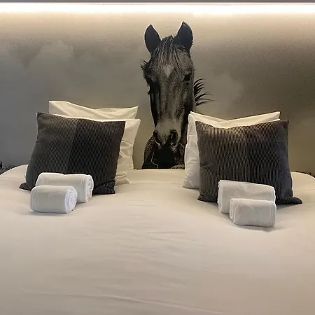 Luzz Me - Casa De Angra *