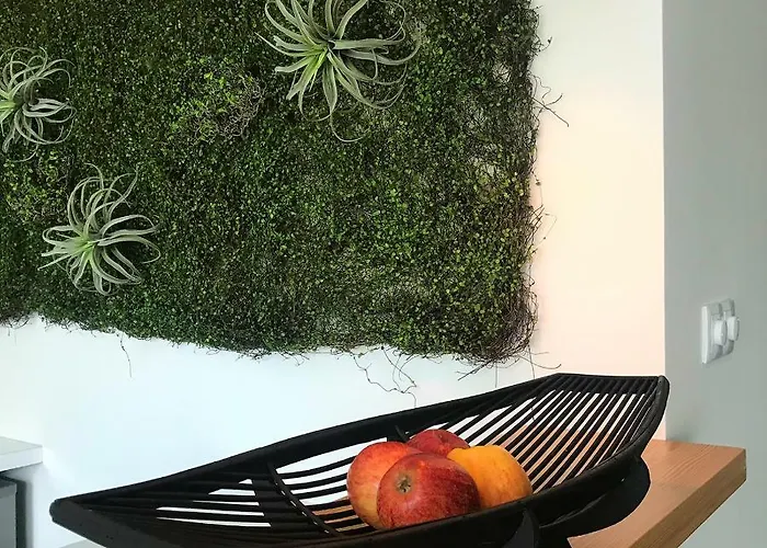 Luzz Me - Casa De Angra Daire Angra do Heroísmo